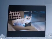 Si dice che Vivo X Fold5 funzioni bene con Apple Watch e anche con iPhone, MacBook e iCloud. (Fonte: Vivo)